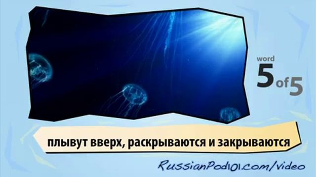 Learn Russian With Video - Marine Life 2