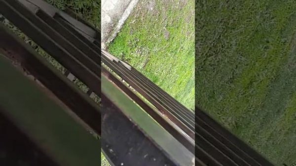 опять тест универсальных ключей