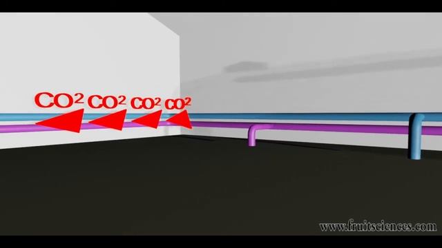 Fruit Sciences (Commercial 3D Animation) смотреть онлайн