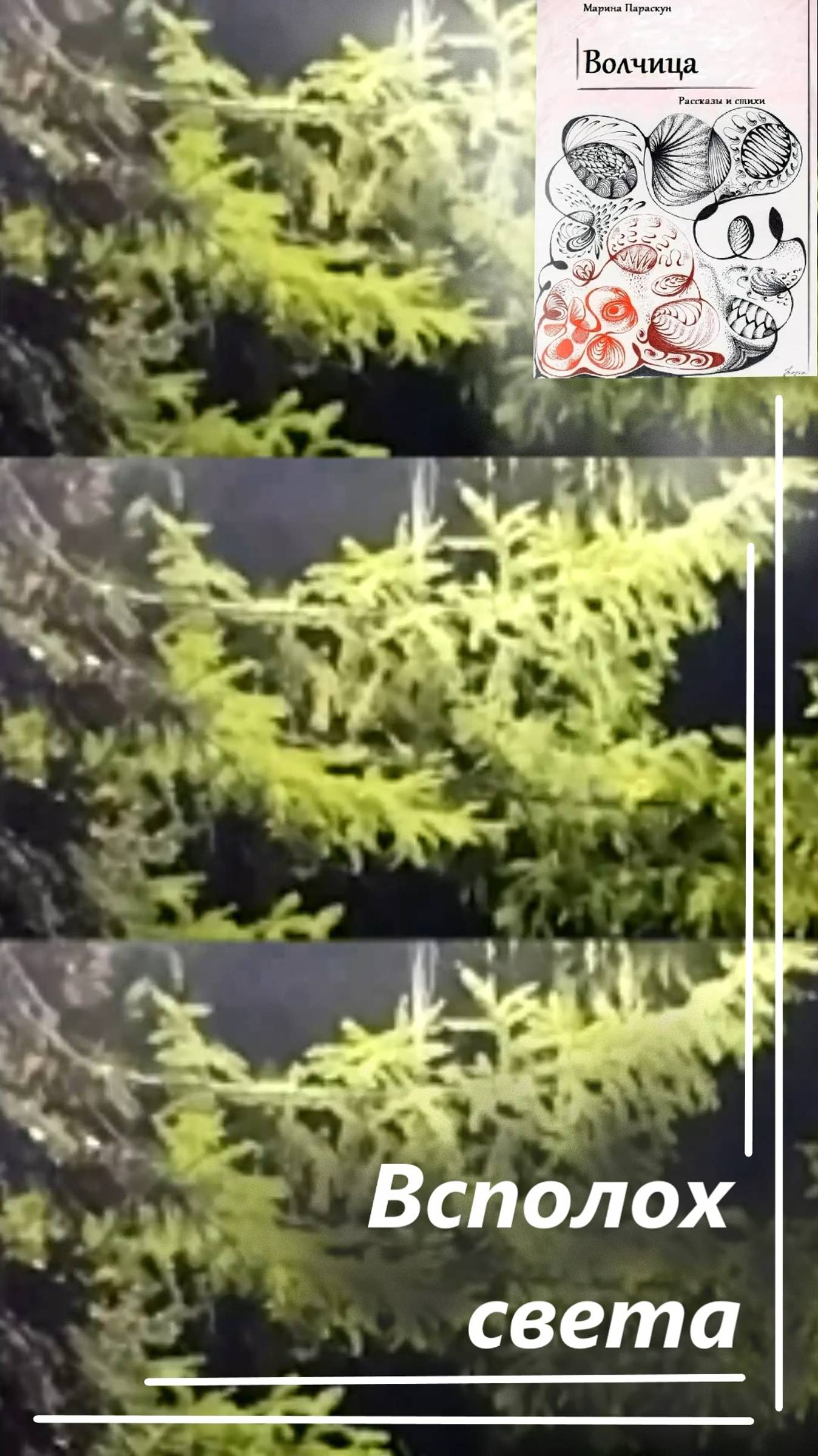 Открыть, светить и не сдаваться! "Всполох света"… #shorts смотреть онлайн