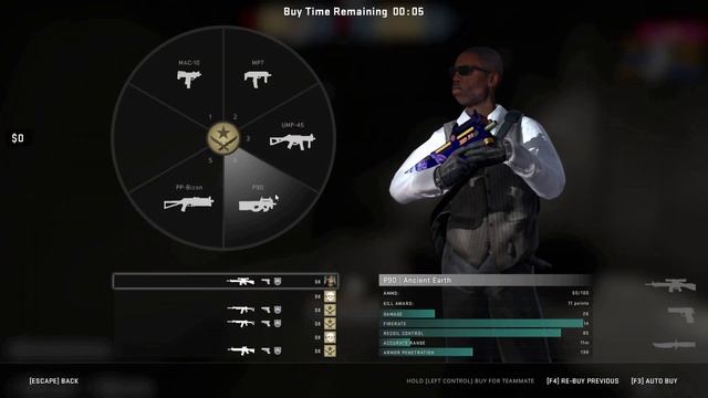 CSGO P90 Argonaut beta SKIN Test смотреть онлайн