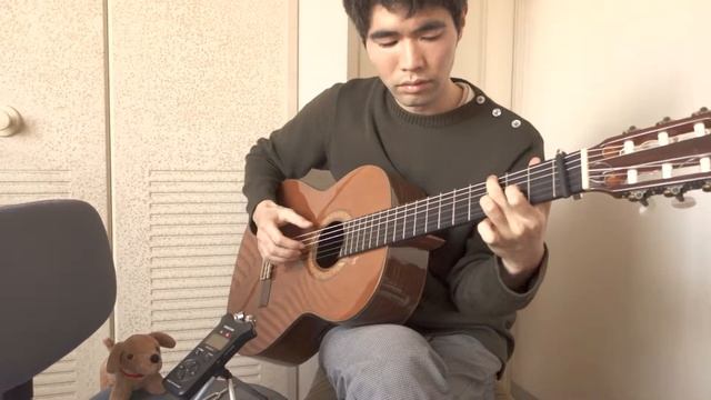 Raised By Wolves (U2) Solo Guitar Cover смотреть онлайн