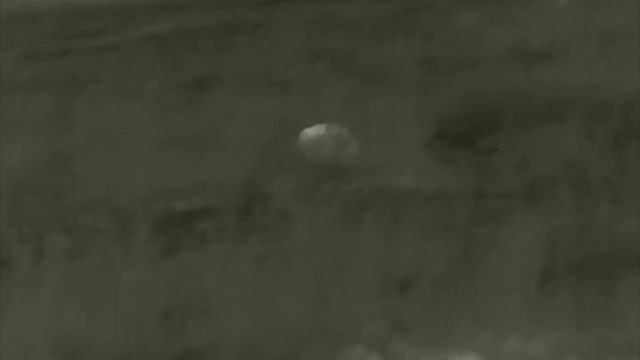 Храбрый барсук смотреть онлайн