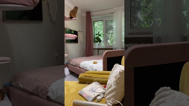 Дома с ним VS Одна #перестановка #отношения #домашнийвлог смотреть онлайн