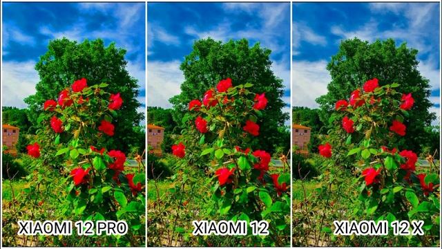 Xiaomi Mi 12 Pro vs Xiaomi Mi 12 vs Xiaomi Mi 12 X Camera Test смотреть онлайн
