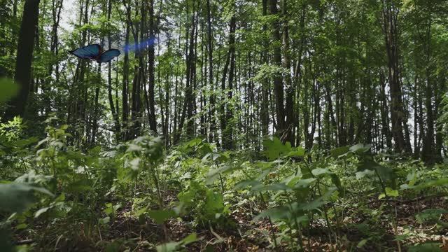 "Попробуй Пермское". Большой Гондыр (культура), Пермский край смотреть онлайн