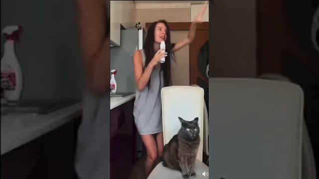 Кот чутка шокирован))) смотреть онлайн