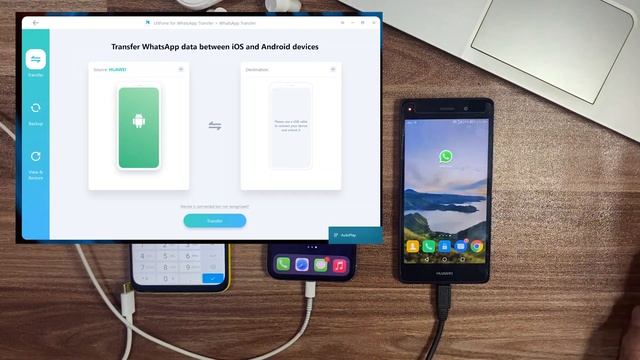 Transfer WhatsApp Messages From Android To iPhone & iPhone To Android | Easy WhatsApp Data Transfer смотреть онлайн