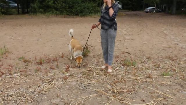 Ладога песок смотреть онлайн