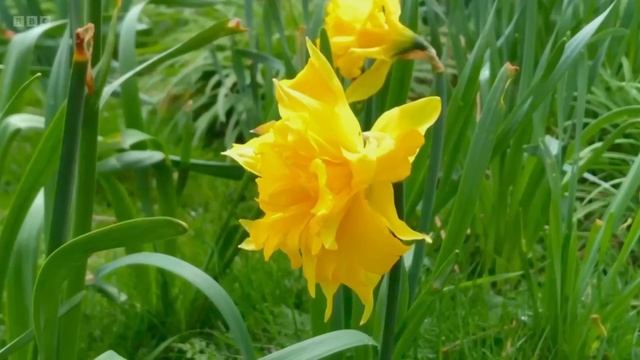 Gardeners' World 2024🍀Episode 3