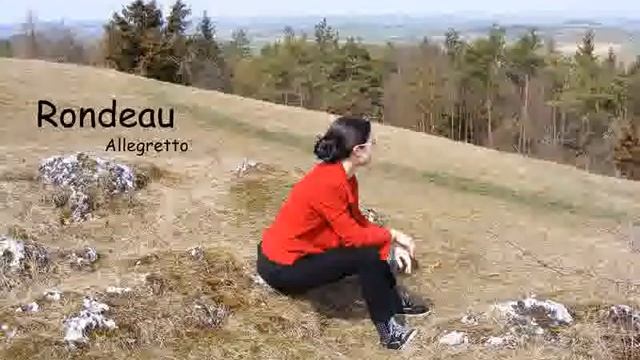 Rosetti - Sonate in B-Dur RWV E3: Rondeau. Allegretto смотреть онлайн