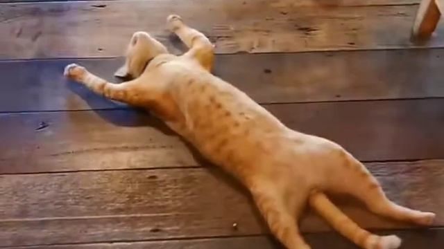 А мне все пофиг смотреть онлайн