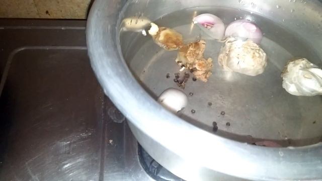 4 Natural products that will keep your pigeons Healthy - Nutritional Recommendations for Pigeons - смотреть онлайн