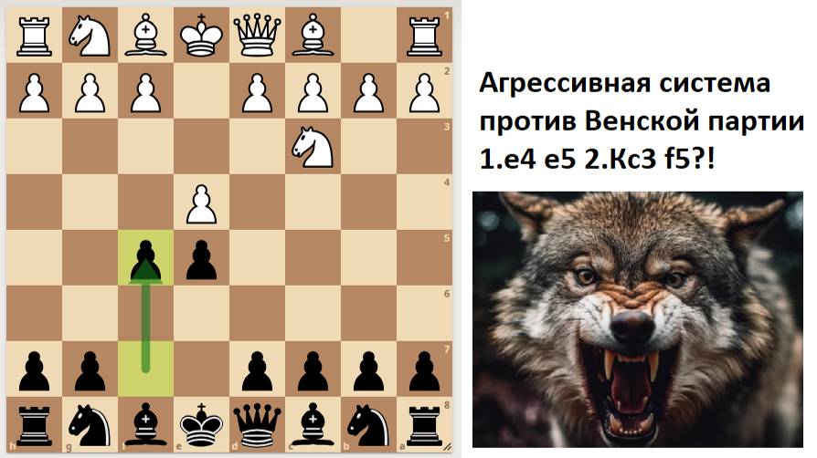 Самая агрессивная, но рискованная система против Венской партии смотреть онлайн