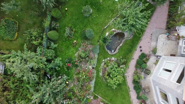 Др 2021 смотреть онлайн