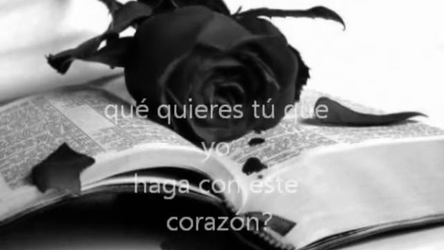 NOCTURNO