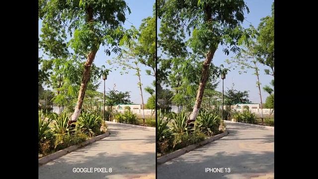 Google Pixel 8 VS iPhone 13 | Camera Test & Comparison смотреть онлайн