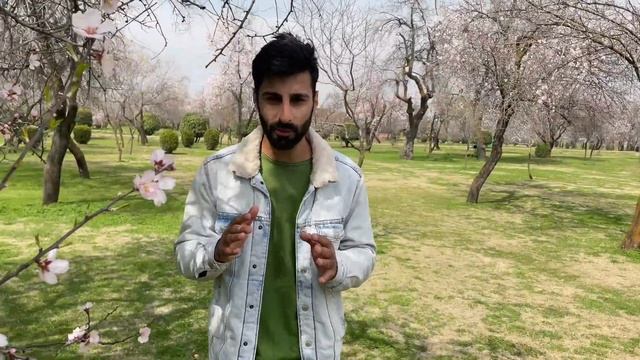 Why iphone camera is better than android ? | Why MegaPixel Count Doesn’t Matter? смотреть онлайн