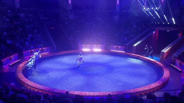 Лошади смотреть онлайн