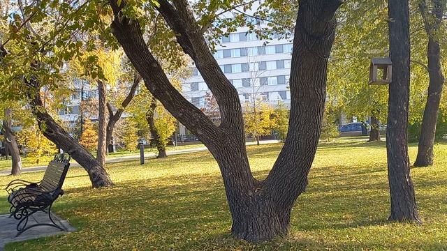 Что такое "осознанность", за 2 минуты смотреть онлайн