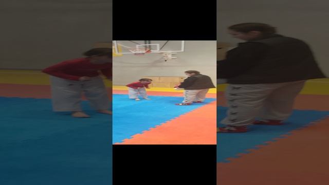 тхэквондо высокая гора