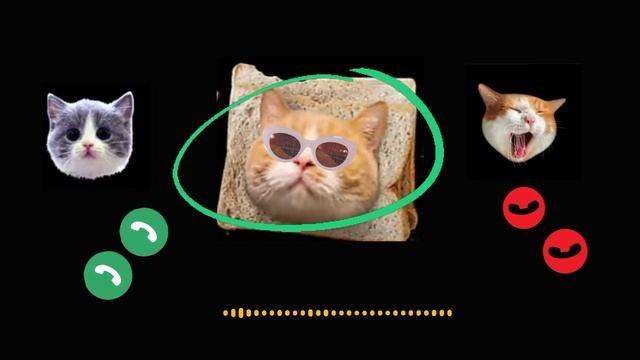 Cats 📞Apple Ringtone IPhone #iphone #cat EP. 29 #ringtone #youtube смотреть онлайн