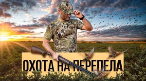 КАК ОХОТЯТСЯ НА ПЕРЕПЕЛА | ОХОТА НА ПЕРЕПЕЛА