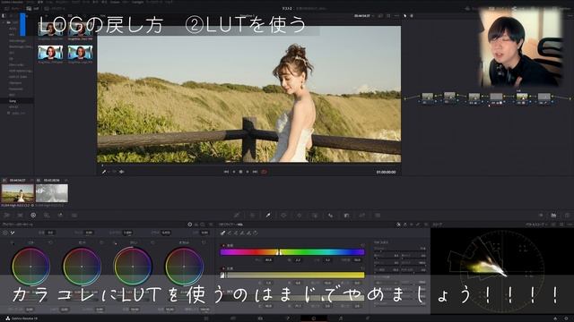 【LUT使用禁止!?】DaVinci ResolveでLOG素材の色を一瞬で戻す最強の方法教えます！【4K】 смотреть онлайн