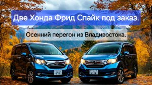 Две Хонда Фрид Спайк под заказ. Осенний перегон из Владивостока.