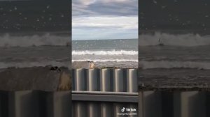 Камчатский край  пахачи