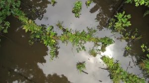 Gazapizm - Heyecanı Yok