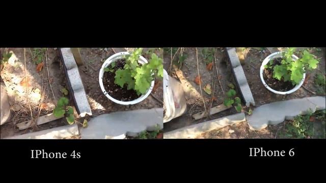 IPhone 6 Vs IPhone 4s Camera Comparison смотреть онлайн