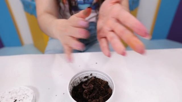 TURNING WALMART ITEMS INTO SLIME! Slimeatory #735 смотреть онлайн