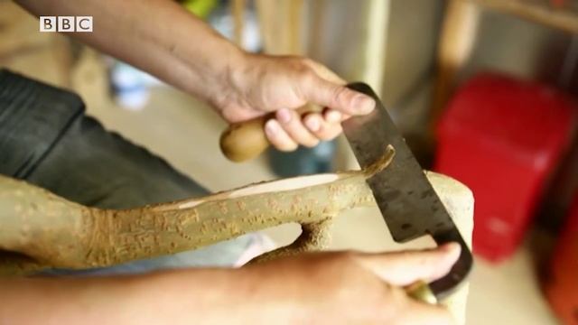 Focus 1 2E Unit 3 Lesson 1 Video 12 BBC смотреть онлайн