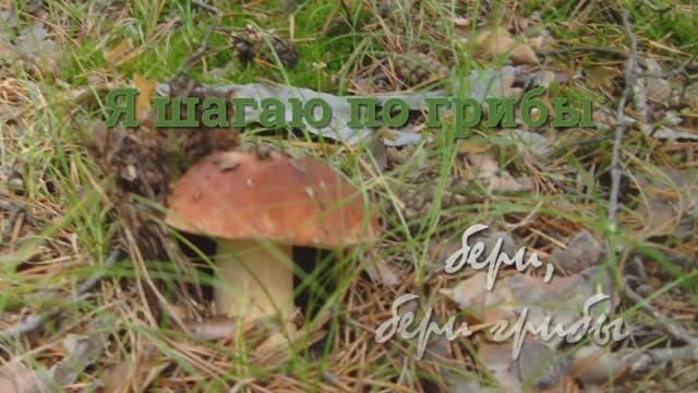 "Я шагаю по грибы"