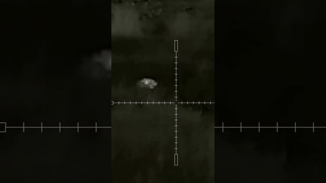 Охота на шакала #ночнаяохота #охота #тепловизор #iray #223 #kurbatovarms #iraysaimsct35 смотреть онлайн