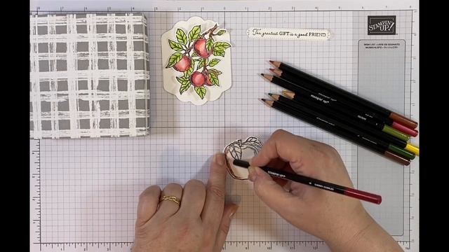 Apple Blossom Gift Box | Craft with Jayne | Stampin Up! смотреть онлайн