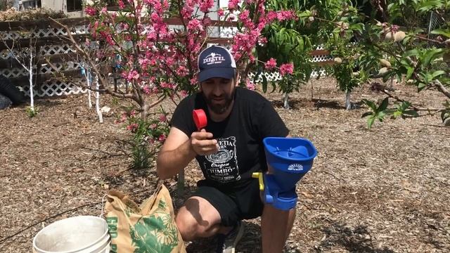 How and When to Fertilize Fruit Trees - Back Yard Orchard смотреть онлайн