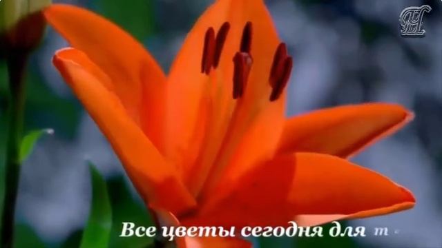 «ПОЗДРАВОК С ДНЁМ РОЖДЕНИЯ» смотреть онлайн