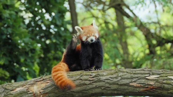 Göksel - Günün Birinde