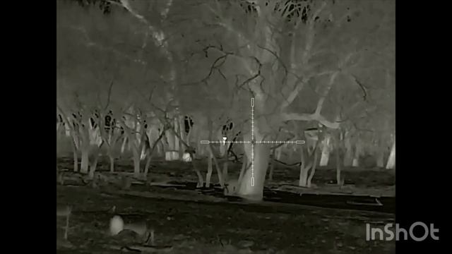 13. Охота на шакала в Волгоградской области продолжается. Карабин R-715 .223rem, прицел Saim SCT 35 смотреть онлайн