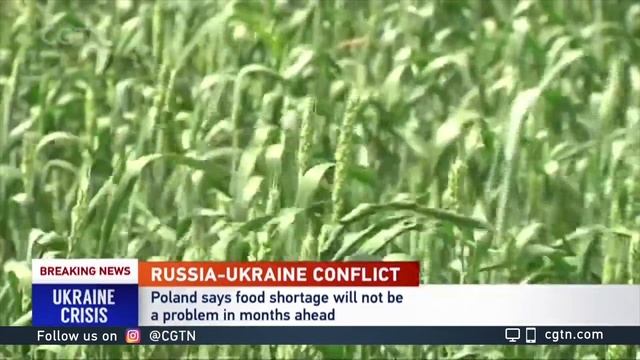 Polish FM spokesperson: NATO to strengthen eastern flank смотреть онлайн