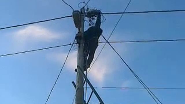 Спасение кота смотреть онлайн