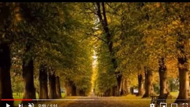 Две недели..., Стихи Вера Ширшова, муз. и исп. #СамуилФрумович смотреть онлайн