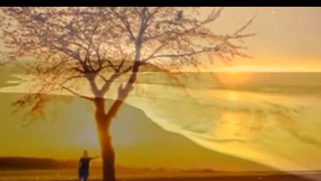 А ты была..., Стихи Игорь Фат, муз. и исп. #СамуилФрумович смотреть онлайн