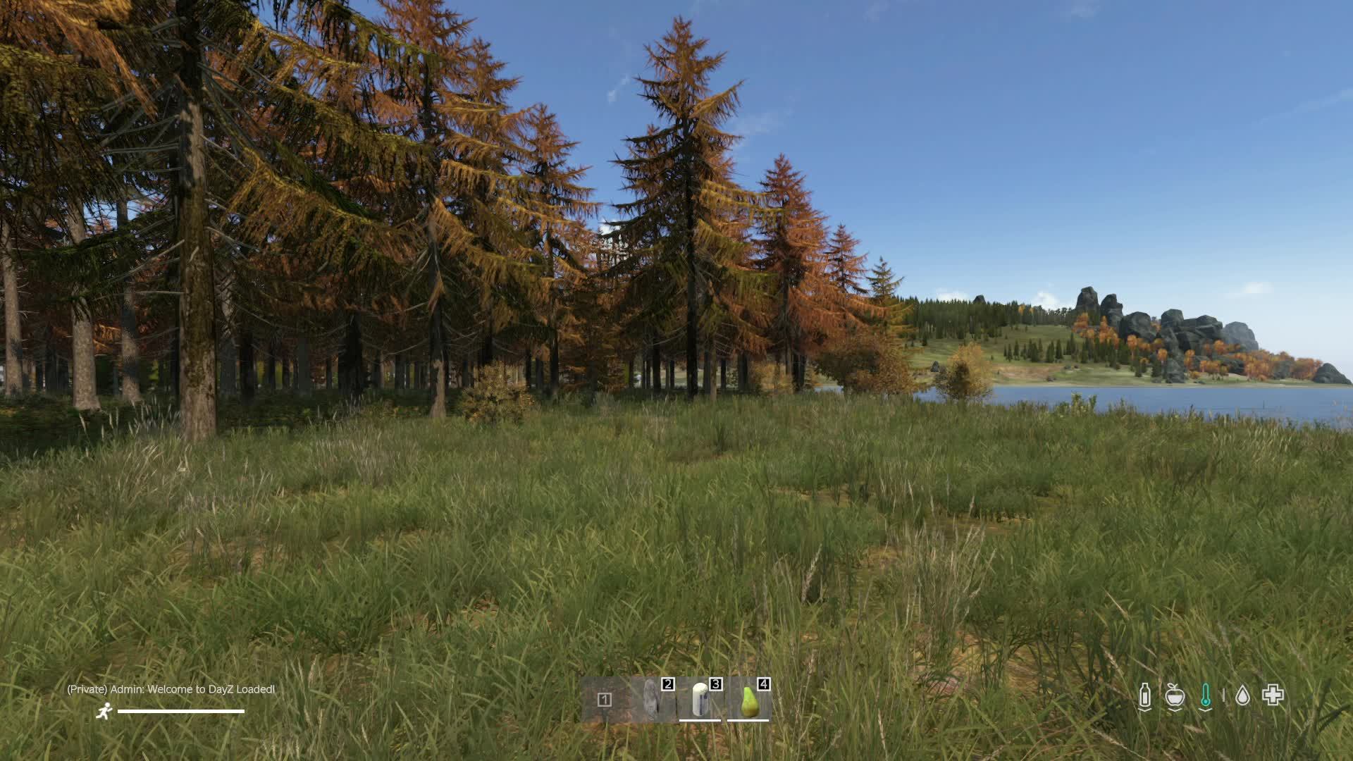 DayZ - Изучаем новый сервак