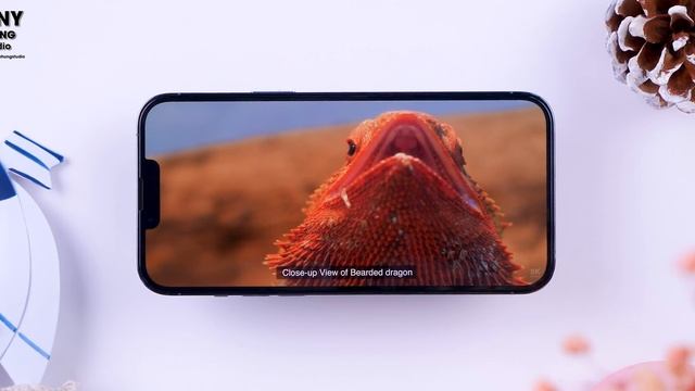 Đánh giá chi tiết iPhone 13 Pro Max !!! смотреть онлайн