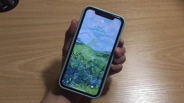 my phone case collection / iPhone 11 Green // vlog6 смотреть онлайн