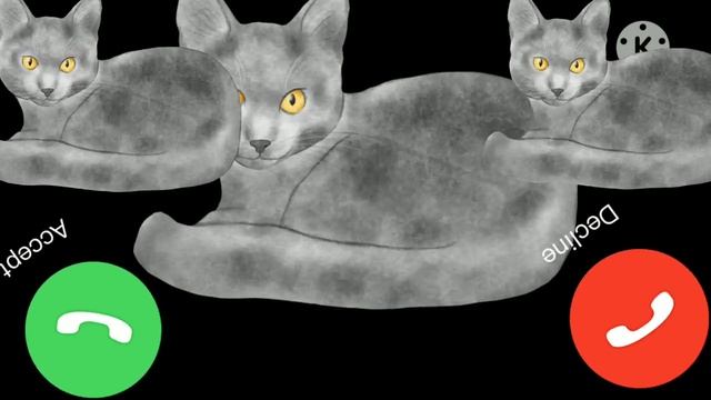 iPhone cat ringtone iPhone 18 pro max iPhone appel ringtone cat notification phone #TiTi 01 смотреть онлайн
