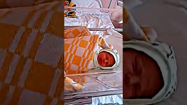 Роддом Братска, Егорка смотреть онлайн